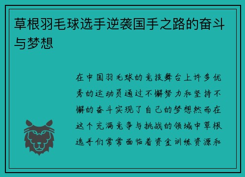 草根羽毛球选手逆袭国手之路的奋斗与梦想