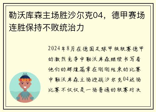 勒沃库森主场胜沙尔克04，德甲赛场连胜保持不败统治力