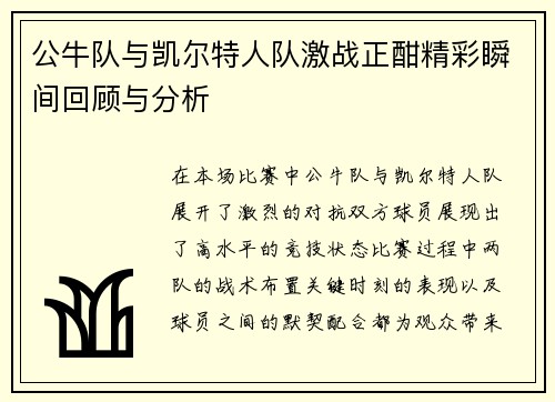 公牛队与凯尔特人队激战正酣精彩瞬间回顾与分析