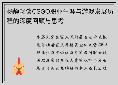 杨静畅谈CSGO职业生涯与游戏发展历程的深度回顾与思考