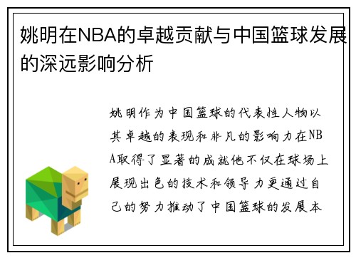 姚明在NBA的卓越贡献与中国篮球发展的深远影响分析