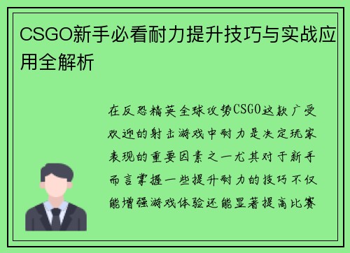 CSGO新手必看耐力提升技巧与实战应用全解析