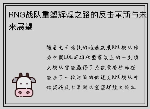 RNG战队重塑辉煌之路的反击革新与未来展望