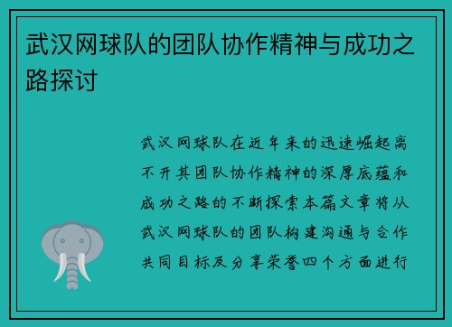 武汉网球队的团队协作精神与成功之路探讨