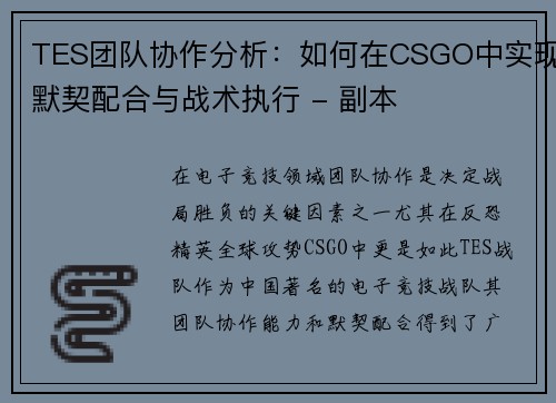TES团队协作分析：如何在CSGO中实现默契配合与战术执行 - 副本