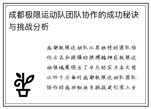 成都极限运动队团队协作的成功秘诀与挑战分析